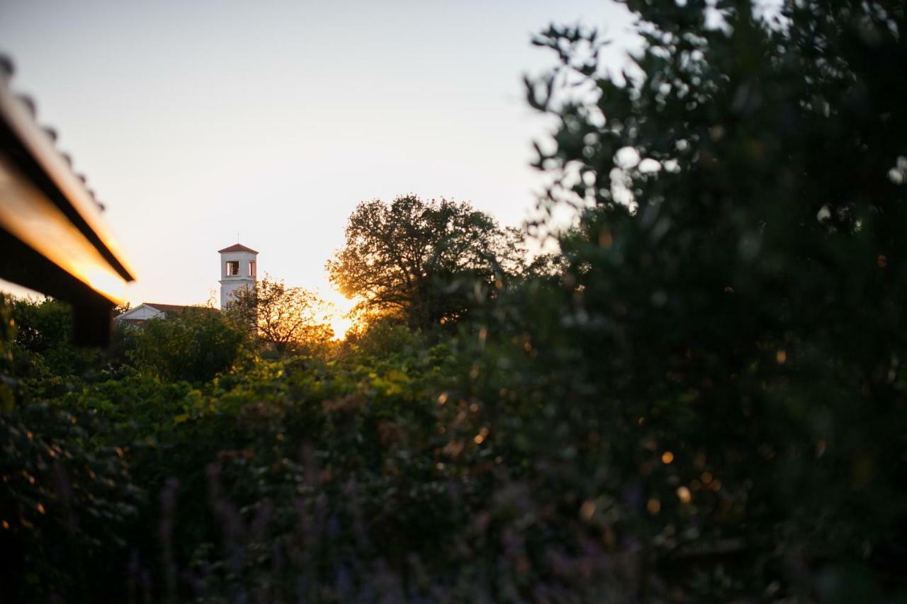 Holiday Home Antonio Dracevac Ninski エクステリア 写真